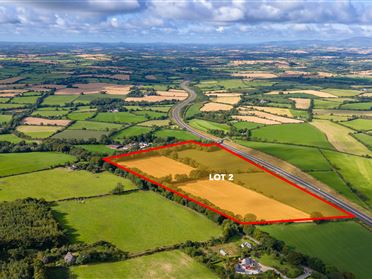 Image for Lot 2 Approx 13.34ha(32.97acres) of Lands at Rockspring, Ferns, Wexford