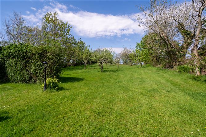 Acres, Drumbrastle West, Newport, Mayo