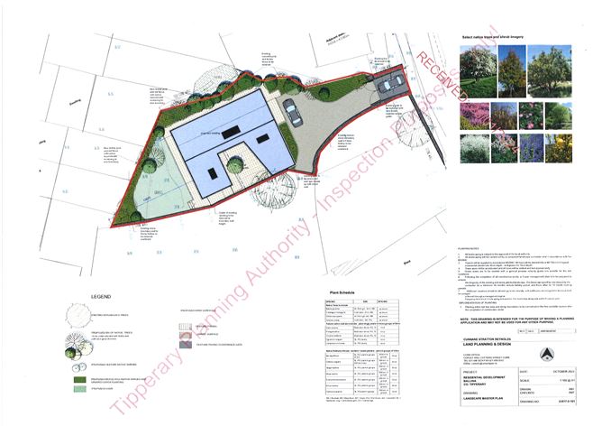 Site at The Cottage, Main Street, Ballina, Tipperary