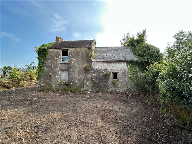 Site at The Cottage, Main Street, Ballina, Tipperary