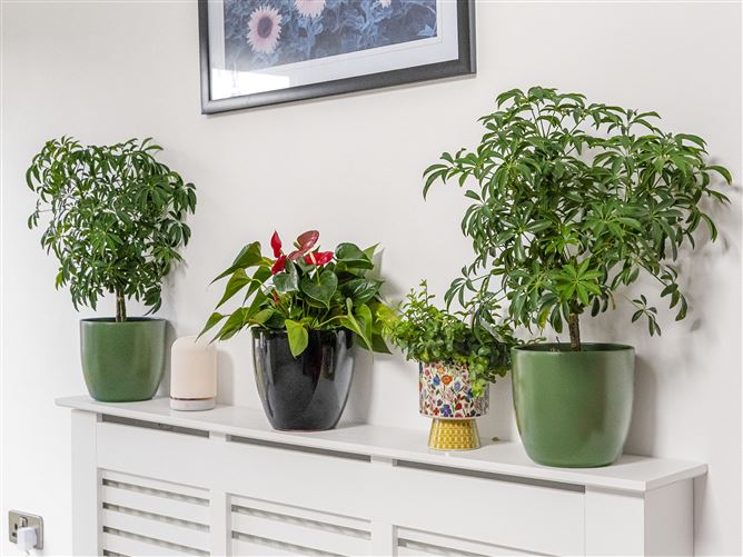 36 Ely Green, Firhouse,   Dublin 24