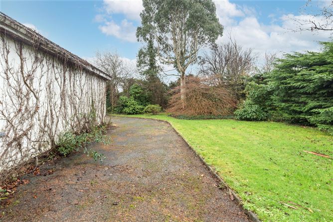 Sycamore, The Moyne, Enniscorthy, Co. Wexford