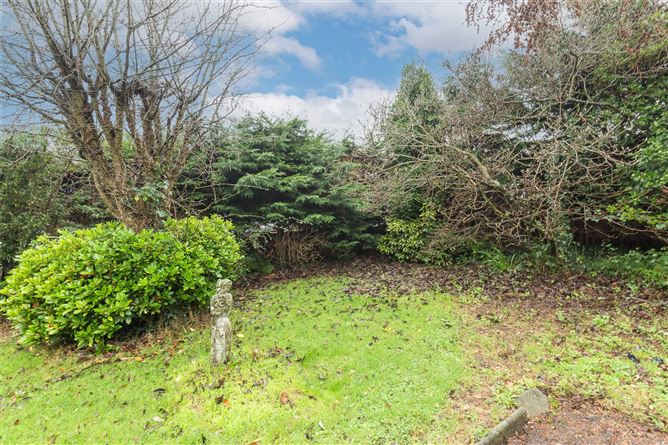 Sycamore, The Moyne, Enniscorthy, Co. Wexford