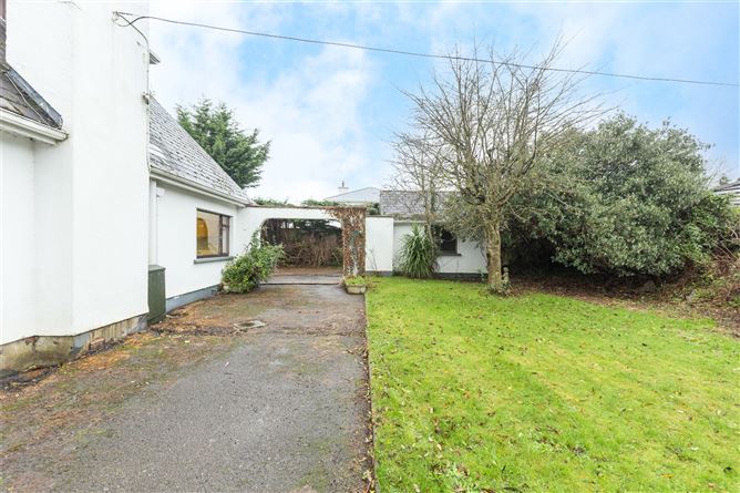 Sycamore, The Moyne, Enniscorthy, Co. Wexford