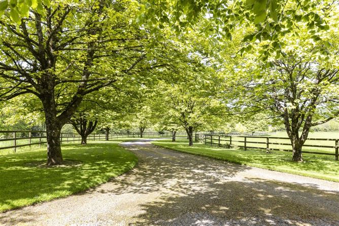 Clonhaston Manor, Clonhaston, Enniscorthy, Co. Wexford