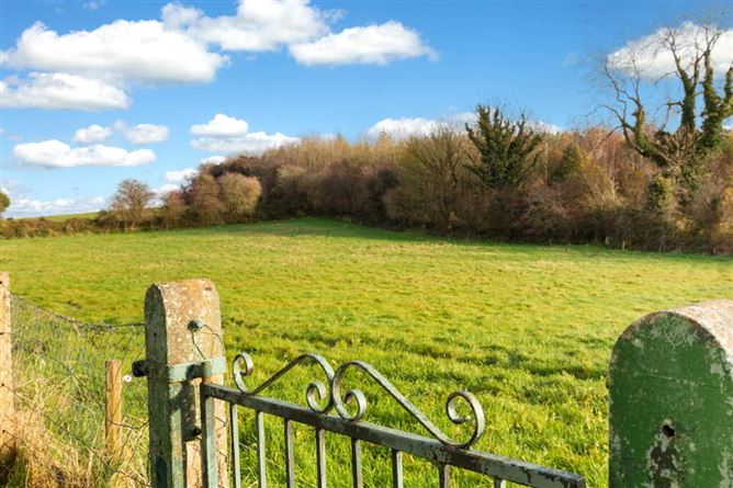Carrickspringan, Moynalty, Kells, Meath