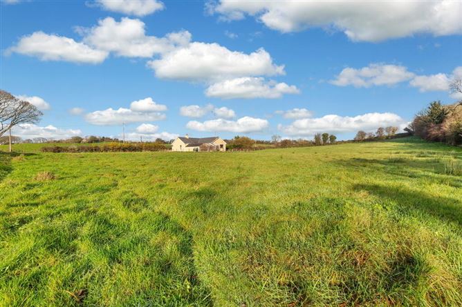 Carrickspringan, Moynalty, Kells, Meath
