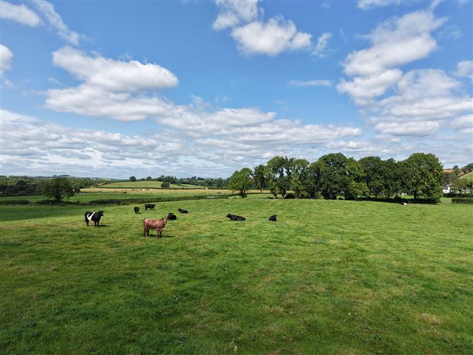 Monanny, Carrickmacross, Monaghan