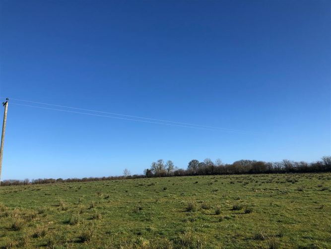 Runnabrackan, Donamon, Roscommon