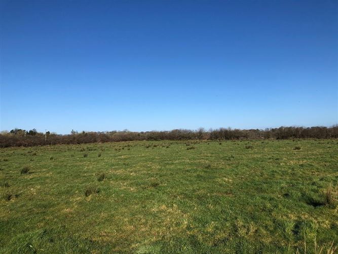 Runnabrackan, Donamon, Roscommon