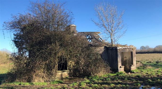 Runnabrackan, Donamon, Roscommon