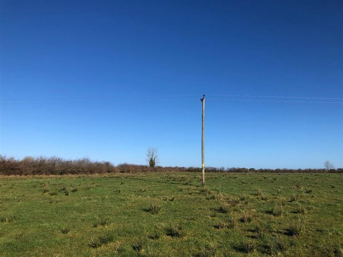 Runnabrackan, Donamon, Roscommon