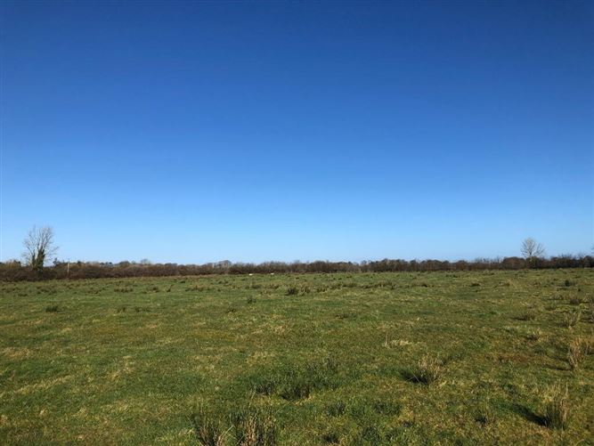 Runnabrackan, Donamon, Roscommon