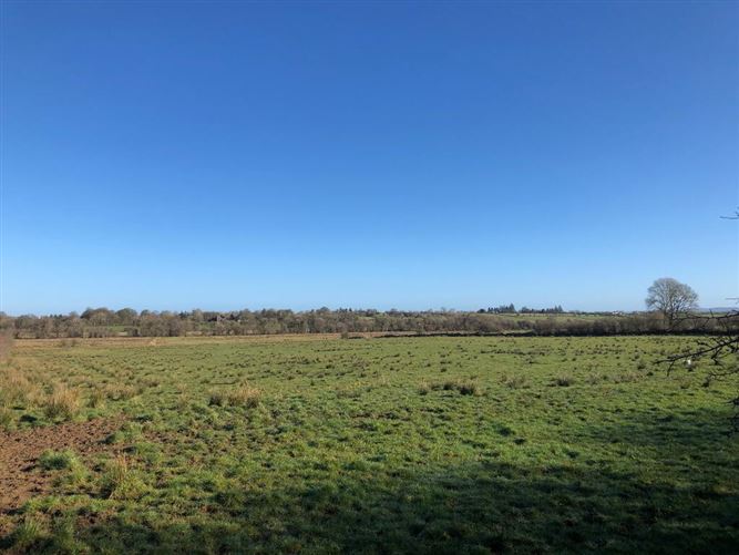 Runnabrackan, Donamon, Roscommon