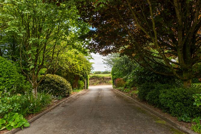 Fern Hill, Ballygunnertemple, Ballygunner, Waterford