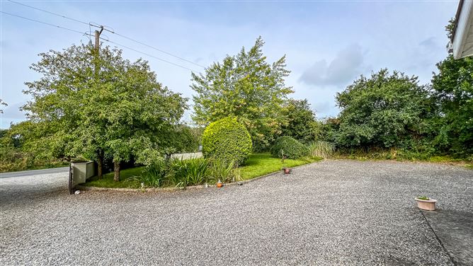 Garryduff, Paulstown, Co. Kilkenny