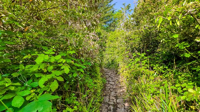 Photo 36 of 40 — "The Secret Gardens", Rochestown, Glenmore, Co Kilkenny