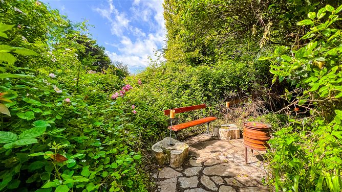 Photo 37 of 40 — "The Secret Gardens", Rochestown, Glenmore, Co Kilkenny