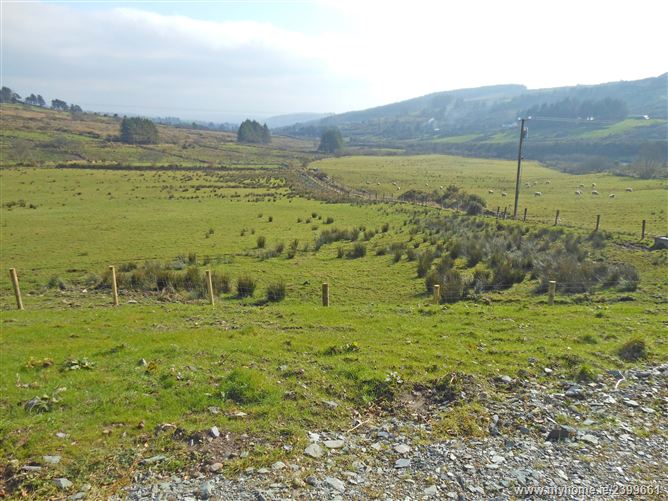Derrynasaggart, Ballyvourney, Macroom, Cork