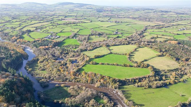 Bungalow on c. 34.28 hectares at Clohastia, Borris, Carlow