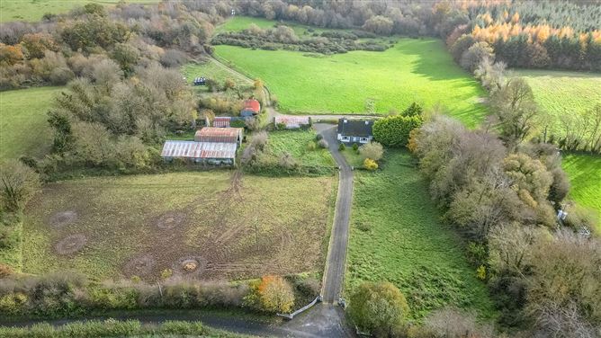 Bungalow on c. 34.28 hectares at Clohastia, Borris, Carlow