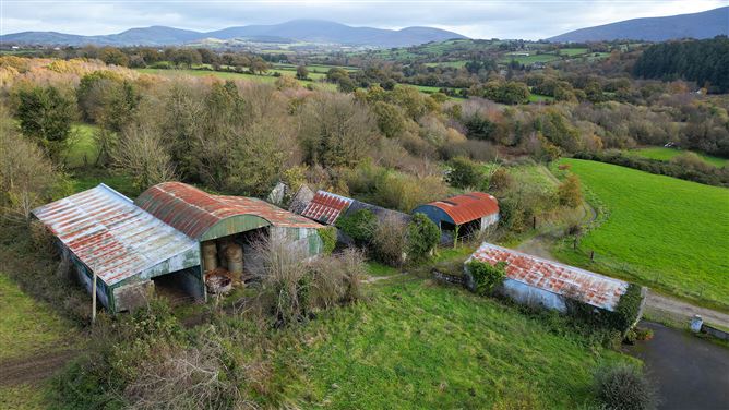 Bungalow on c. 34.28 hectares at Clohastia, Borris, Carlow
