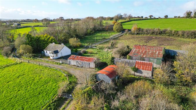 Bungalow on c. 34.28 hectares at Clohastia, Borris, Carlow