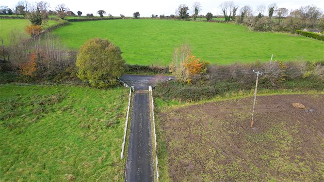 Bungalow on c. 34.28 hectares at Clohastia, Borris, Carlow