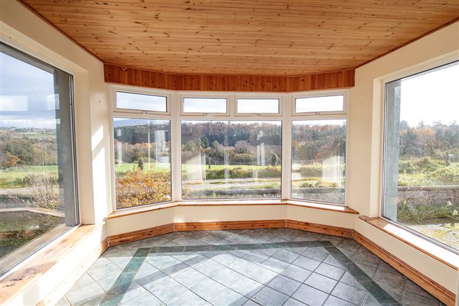 Bungalow on c. 34.28 hectares at Clohastia, Borris, Carlow