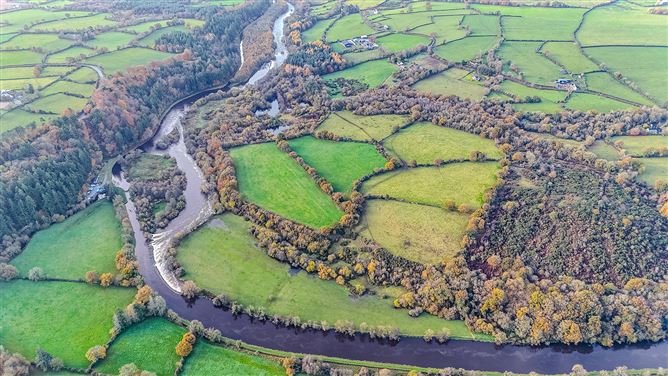 Bungalow on c. 34.28 hectares at Clohastia, Borris, Carlow