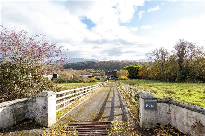 Bungalow on c. 34.28 hectares at Clohastia, Borris, Carlow