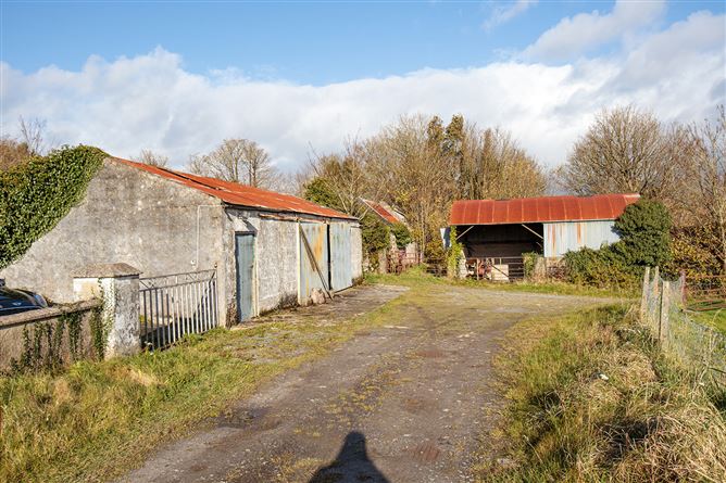 Bungalow on c. 34.28 hectares at Clohastia, Borris, Carlow