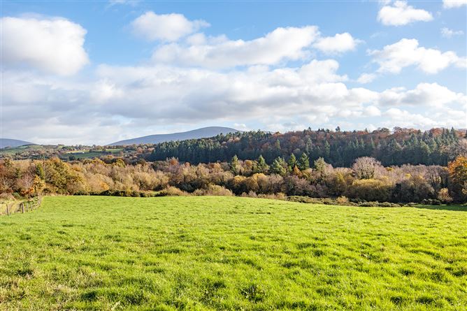 Bungalow on c. 34.28 hectares at Clohastia, Borris, Carlow