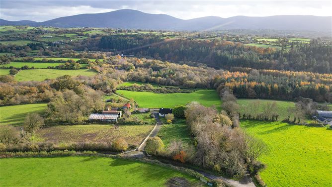 Bungalow on c. 34.28 hectares at Clohastia, Borris, Carlow