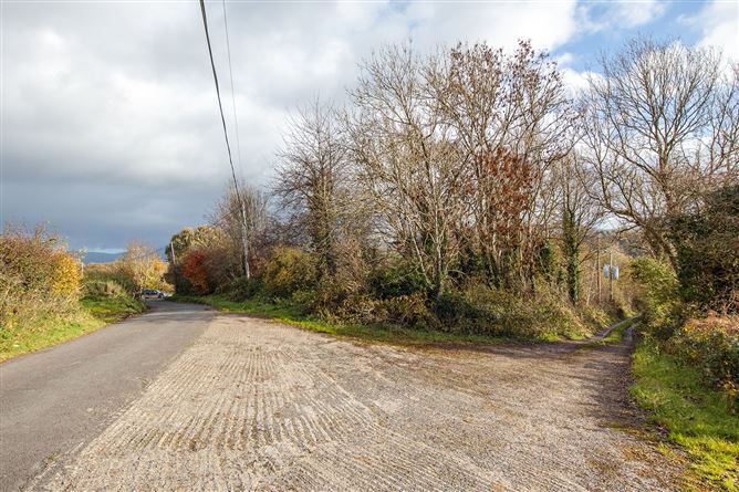 Bungalow on c. 34.28 hectares at Clohastia, Borris, Carlow