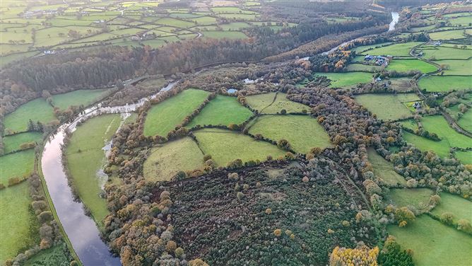 Bungalow on c. 34.28 hectares at Clohastia, Borris, Carlow