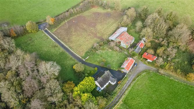 Bungalow on c. 34.28 hectares at Clohastia, Borris, Carlow