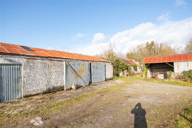 Bungalow on c. 34.28 hectares at Clohastia, Borris, Carlow
