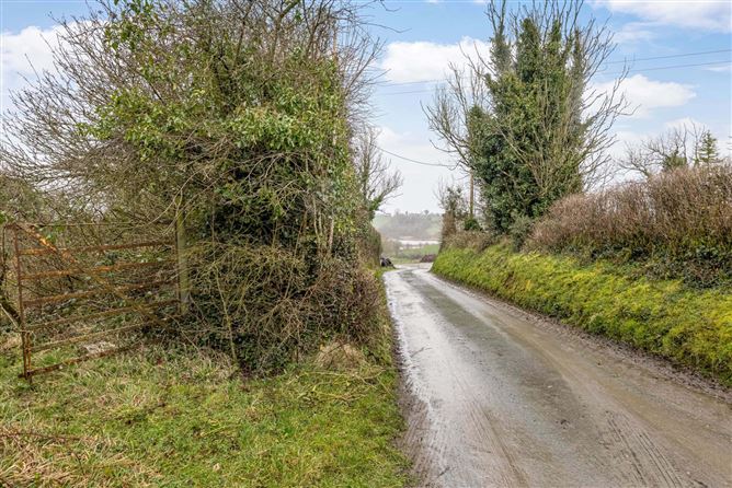 Portanure, Lough Gowna, Co. Cavan