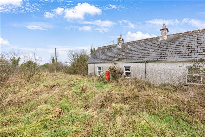 Portanure, Lough Gowna, Co. Cavan