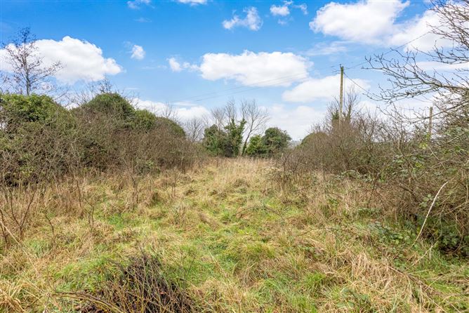 Portanure, Lough Gowna, Co. Cavan