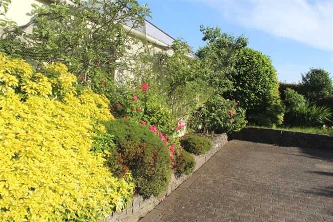 Main Street, Elphin, Roscommon, Roscommon