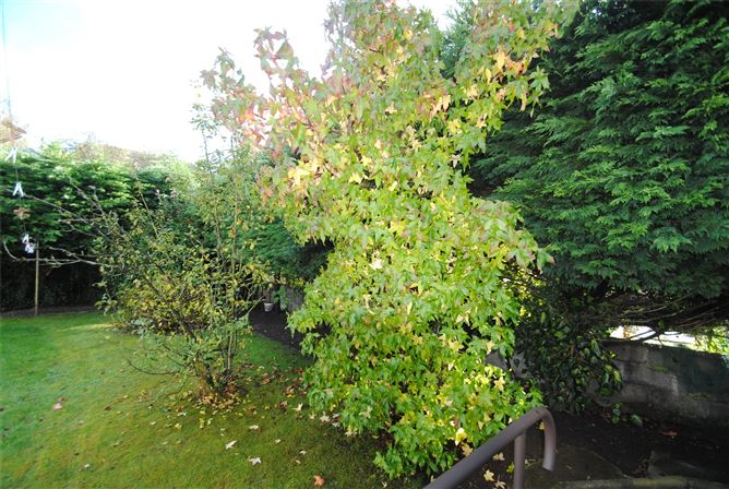 Seffin, Birr, Co. Offaly