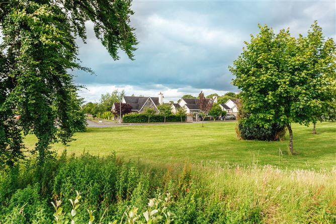 10 The Paddocks, Kildangan, Kildare