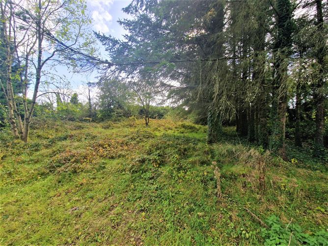 Ballyglass, Bohola, Co. Mayo