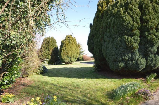 'Lynwood', Newbridge, Camolin, Wexford