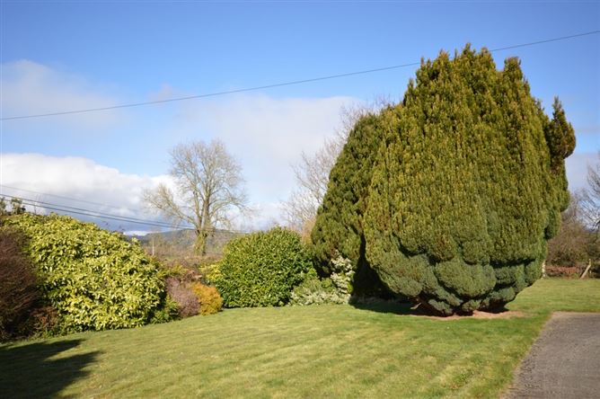 'Lynwood', Newbridge, Camolin, Wexford