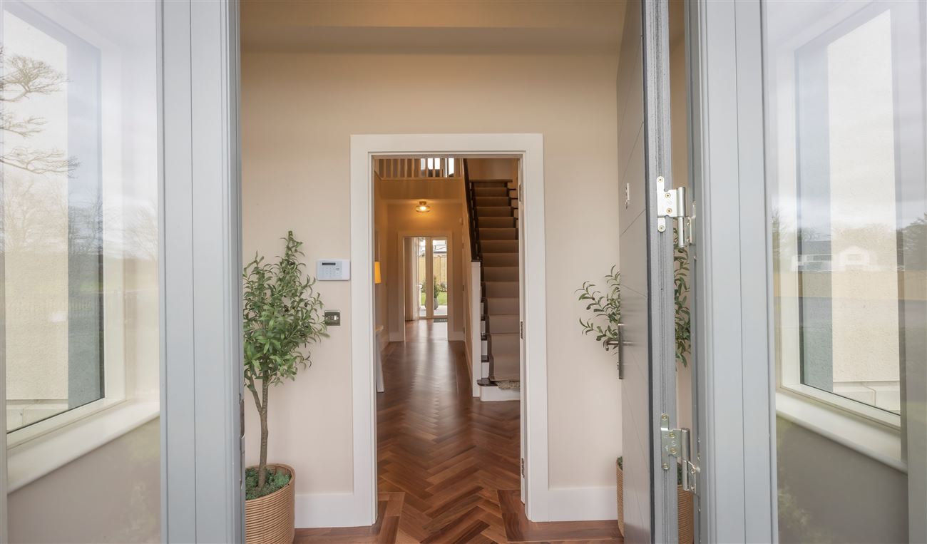 Loughmore Wood, Killeen Castle, Dunsany, Co. Meath