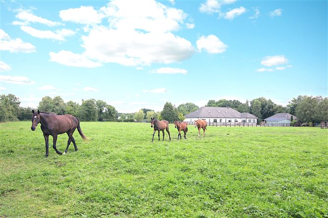 Photo 48 of 72 — Piercetown, Kilcock, Meath