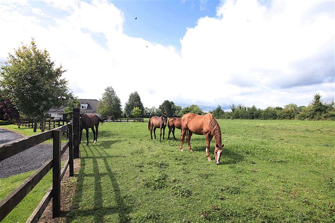 Photo 46 of 72 — Piercetown, Kilcock, Meath